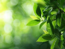 ai généré vert la nature Contexte photo