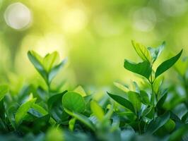 ai généré vert la nature Contexte photo