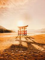 lumière et ombres plus de le Japon torii porte photo