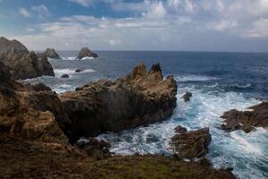 point lobos Etat Naturel réserve photo