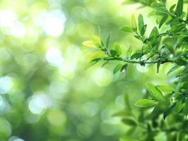 ai généré vert la nature Contexte photo