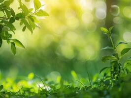 ai généré vert la nature Contexte photo