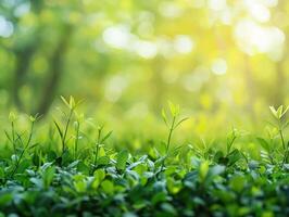 ai généré vert la nature Contexte photo