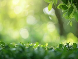 ai généré vert la nature Contexte photo