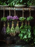 ai généré Frais herbes et des légumes pendaison sur le mur photo