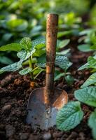 ai généré pelle coincé dans le sol dans le jardin photo