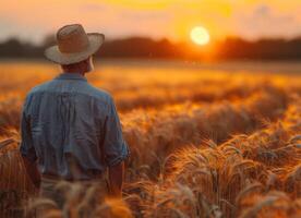 ai généré agriculteur permanent dans blé champ à la recherche à le le coucher du soleil photo