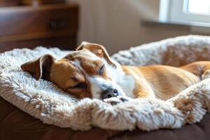 ai généré chien sieste pacifiquement sur le sien doux confortable lit. génératif ai photo