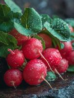 ai généré Frais des radis avec l'eau gouttes sur foncé Contexte photo