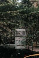 explorer sentule bogor spectaculaire cascades et forêt les sentiers. une randonnée aventure avec copains dans gunung pancar. étourdissant la photographie - magnifique Indonésie photo