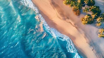 Azur côte de le océan avec paume des arbres, sable, le surf et coquilles. ai généré photo