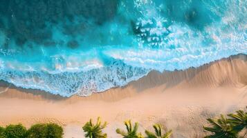 ai généré Azur côte de le océan avec paume des arbres, sable, le surf et coquilles. ai généré photo