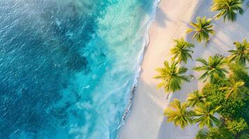 ai généré Azur côte de le océan avec paume des arbres, sable, le surf et coquilles. ai généré photo