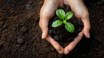 ai généré Humain paumes tenir sol avec une vert petit plante comme une concept pour affaires développement. ai généré photo