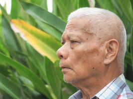 portrait de une Sénior homme à la recherche une façon tandis que permanent dans une jardin photo