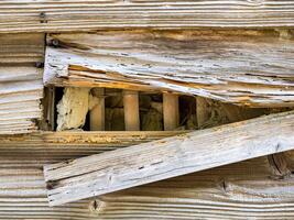 rouillé clou, patiné planches de un abandonné Grange avec fissuré en bois planches photo