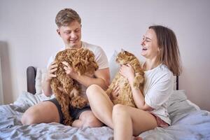 Jeune couple dépenses temps avec leur animaux, une rouge chat et une cockapoo fille, en jouant et en riant photo