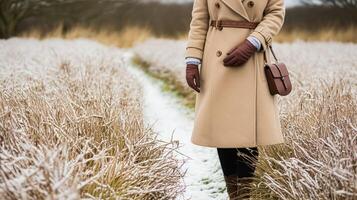 ai généré vêtements pour femmes l'automne hiver Vêtements et accessoire collection dans le Anglais campagne mode style, classique Regardez photo