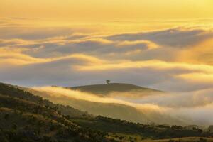 faible des nuages Jaune coloré à lever du soleil photo