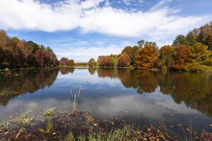 l'automne coloré des arbres et feuilles sur le l'eau photo