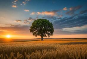 ai généré large angle coup de une Célibataire arbre croissance en dessous de une assombri ciel pendant une le coucher du soleil entouré par herbe photo