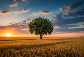 ai généré large angle coup de une Célibataire arbre croissance en dessous de une assombri ciel pendant une le coucher du soleil entouré par herbe photo