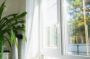 fenêtre de à l'intérieur le maison Plastique double vitrage fenêtre vue à l'extérieur à le ensoleillé forêt - intérieur salon avec mis en pot végétaux, nettoyer verre après nettoyage les fenêtres, fermé fenêtre photo