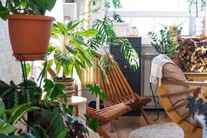 tropical intérieur les plantes dans le intérieur pièce blanc grenier dans pays loger, en bois meubles, bois de chauffage pour cheminée dans lumière du soleil. plante d'appartement croissance et soins pour mis en pot usine, vert Accueil dans chalet photo