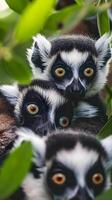 ai généré une groupe de lémuriens séance sur Haut de une arbre photo