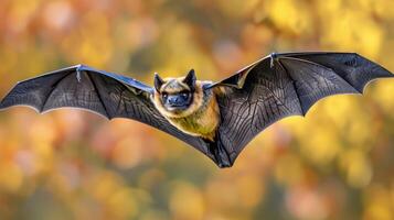 ai généré rare chauve souris espèce dans Naturel habitat lié à émergente virus, une important Découverte photo