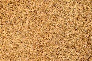 Fenugrec grain texture Contexte. Helba Jaune égyptien thé, Haut vue photo