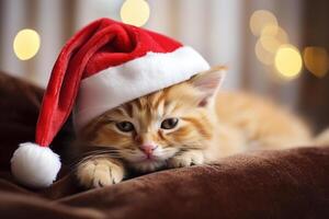 ai généré mignonne somnolent chaton dans une rouge Père Noël claus chapeau, Noël. duveteux animal de compagnie repos mensonge à maison, Noël soir photo