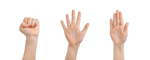enfant isolé main. exprimer fermé, diffuser, et Arrêtez gestes, encourageant la communication et compréhension par main signaux photo