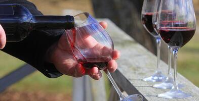 homme main verser rouge du vin de le bouteille dans des lunettes avec copains à l'extérieur photo