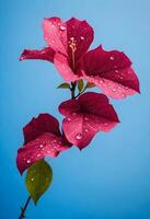 ai généré une rouge fleur avec l'eau gouttelettes sur il photo