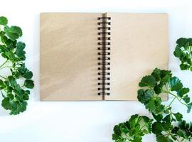 cahier à spirale en papier kraft avec des feuilles vertes comme cadre photo