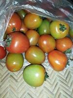 une pile de tomates avec vert et rouge fruit photo