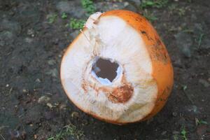 une Jeune Orange pelé noix de coco photo