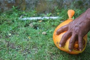 Jeune Orange noix de coco étant pelé par Quelqu'un photo