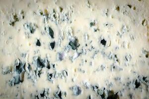 texture de bleu fromage photo