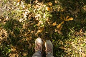 femme en marchant dans l'automne parc. les filles pieds dans baskets des stands sur le déchue feuilles. photo