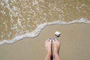 femelle pieds et coquillage sur le humide sable. photo