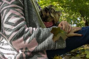 femme avec chien repos dans le l'automne parc. photo