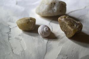 mer des pierres et coquille, proche en haut. photo