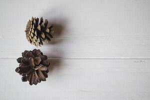 pin cônes sur une blanc en bois Contexte. photo