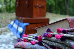 le plaid et livre dans une jardin. photo