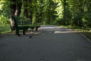 vide banc dans été parc. photo