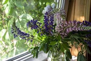 le vase avec lupins sur une la fenêtre. photo