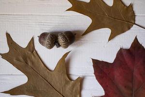 l'automne feuilles sur une blanc en bois Contexte. brillant modèle. photo