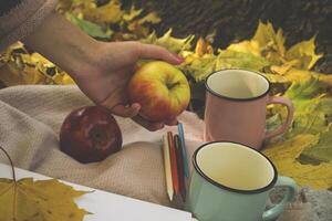 une tasses de thé, rouge pommes, album et des crayons pour dessin sur le chaud plaid dans le l'automne parc. l'automne encore vie. photo